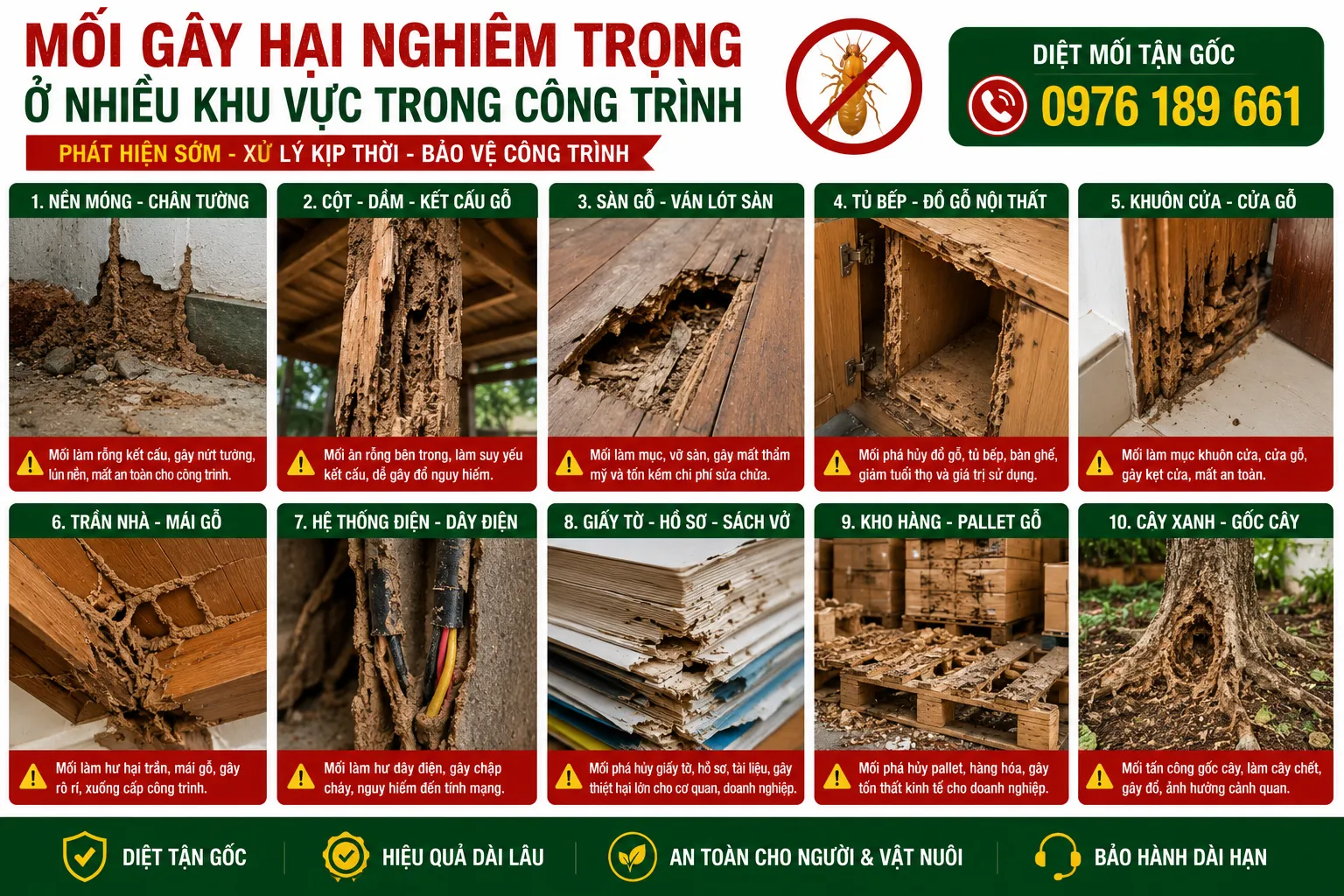 Nguyên nhân nhà có mối Quảng Ninh